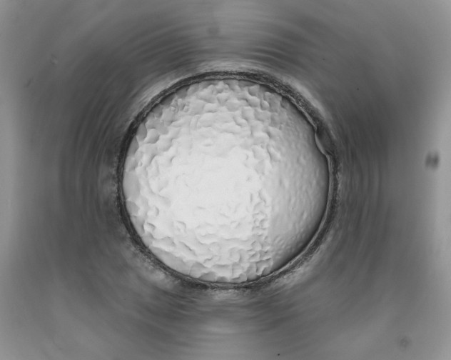 X0000091311025200709071110