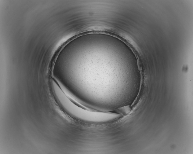 X0000091311026200709071110