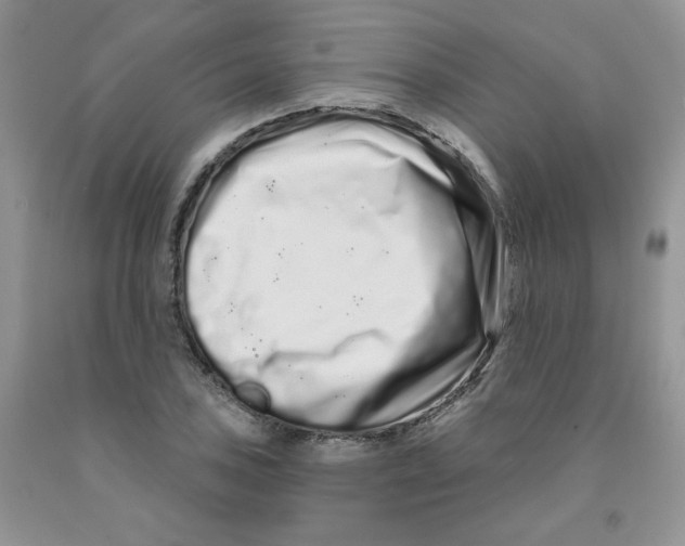 X0000091311027200709071110