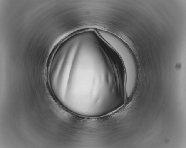 X0000091311028200709071110