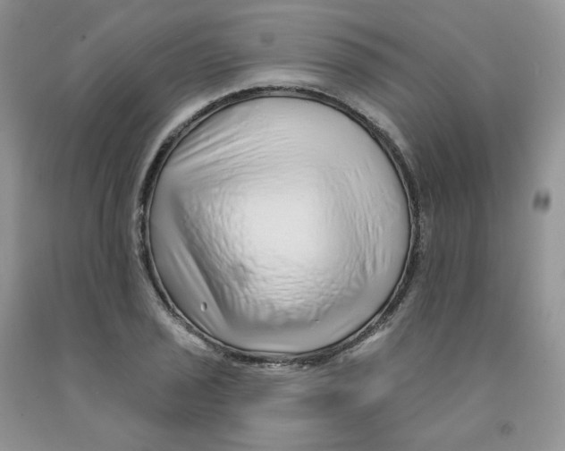 X0000091311029200709071110