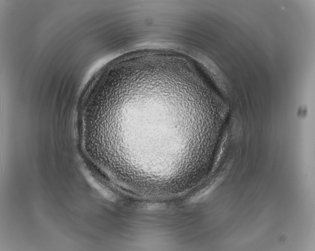 X0000091311030200709071110