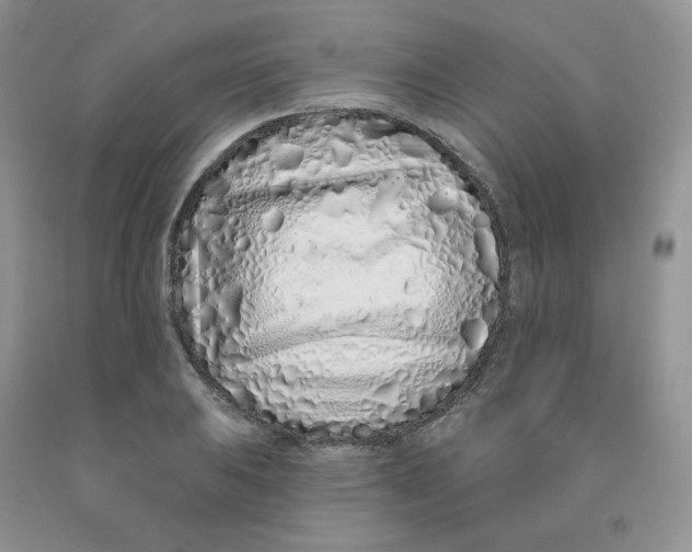 X0000091311031200709071110