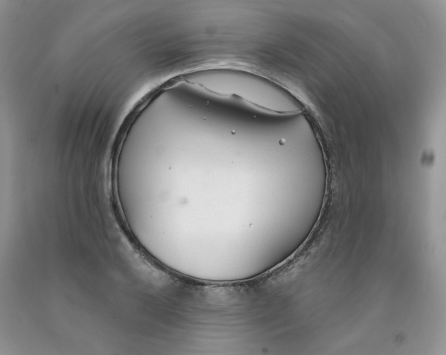 X0000091311032200709071110