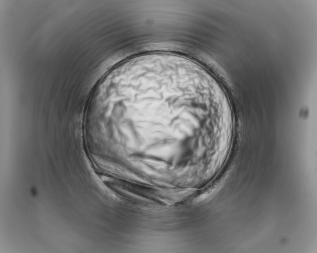 X0000091311033200709071110