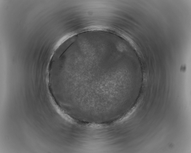 X0000091311034200709071110