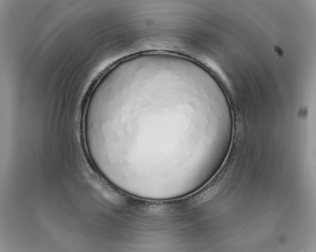 X0000091311035200709071110