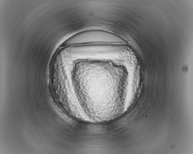 X0000091311036200709071110