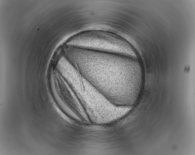 X0000091311037200709071110