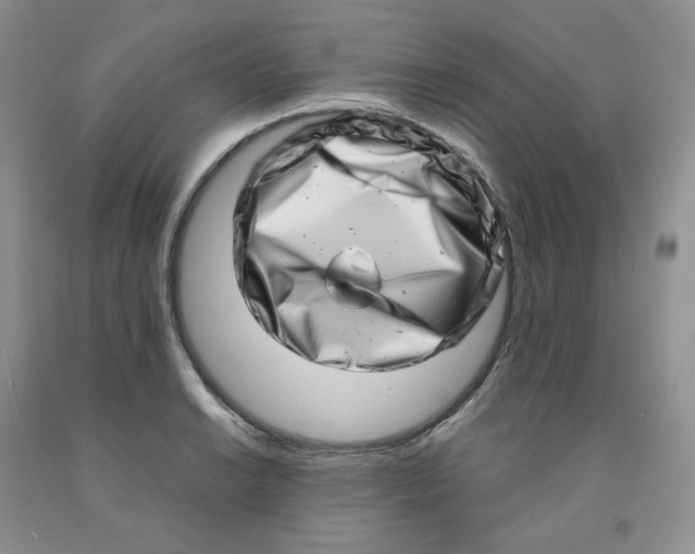 X0000091311038200709071110