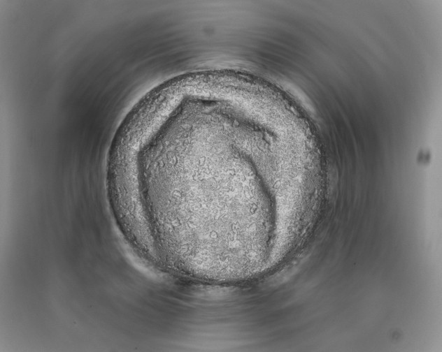 X0000091311039200709071110