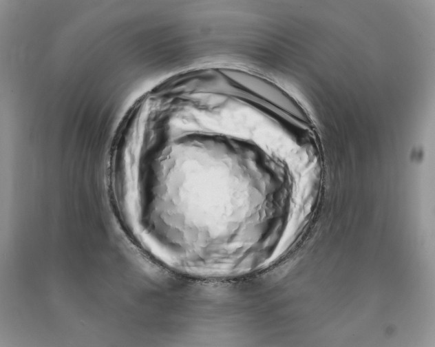 X0000091311040200709071110