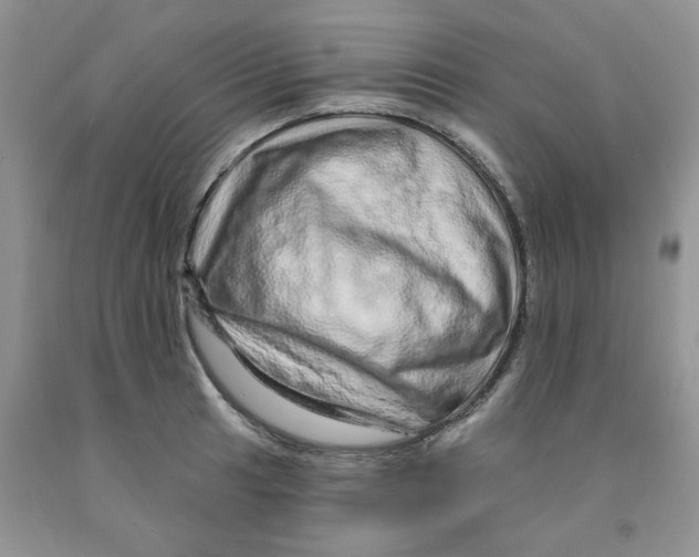 X0000091311041200709071110