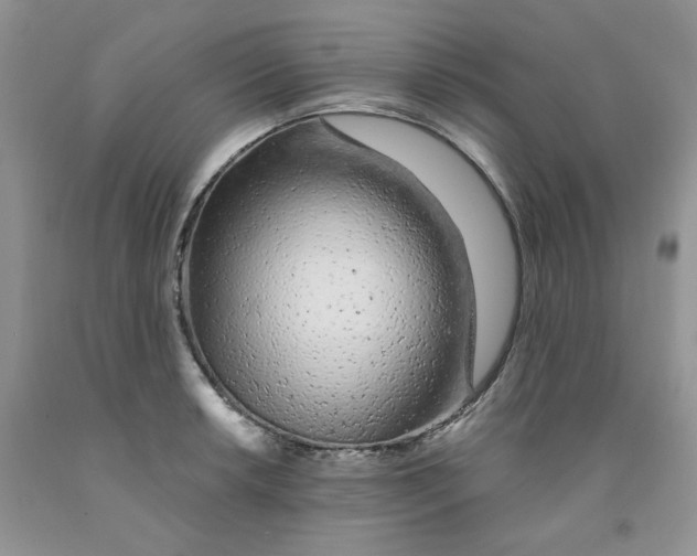 X0000091311042200709071110