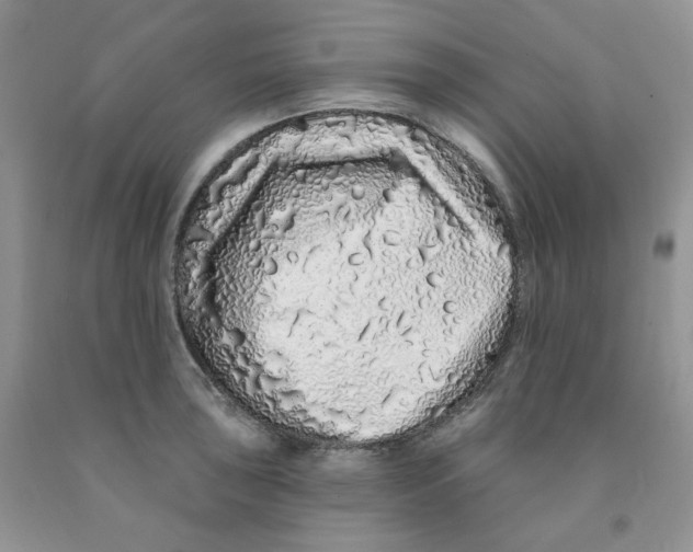 X0000091311043200709071110