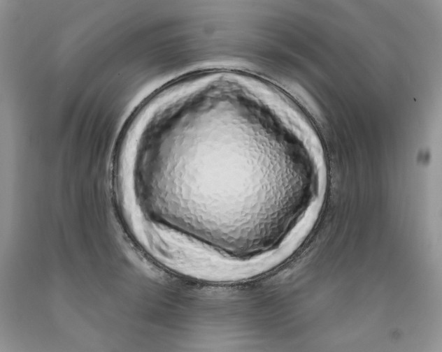 X0000091311044200709071110