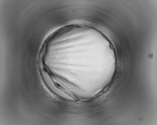 X0000091311045200709071110