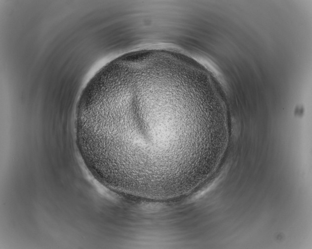 X0000091311046200709071110