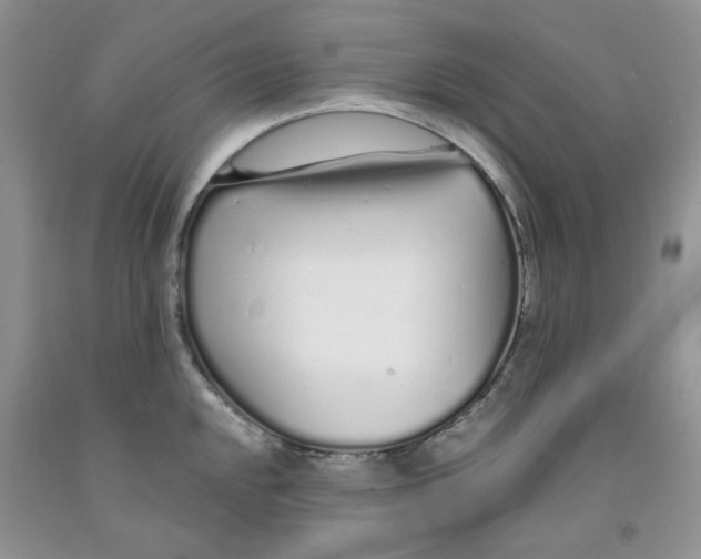 X0000091311048200709071110