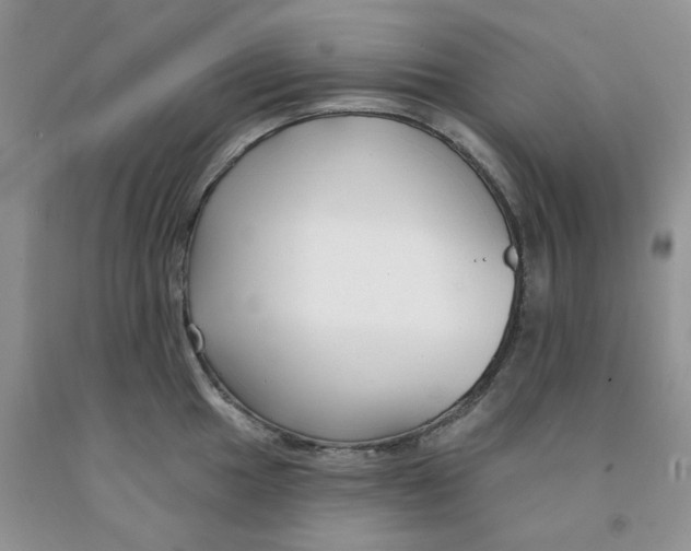 X0000091311049200709071110