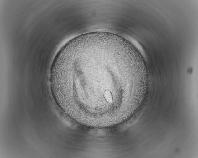 X0000091311051200709071110