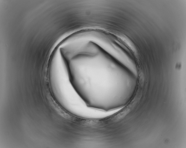 X0000091311052200709071110