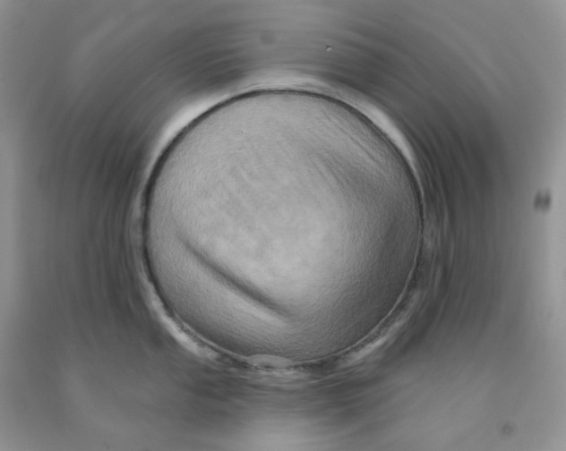 X0000091311053200709071110