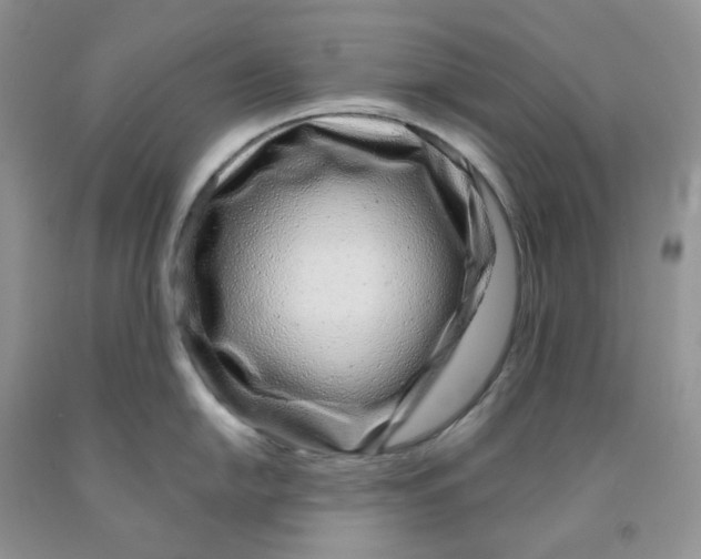 X0000091311054200709071110