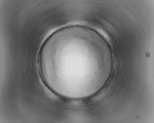 X0000091311055200709071110