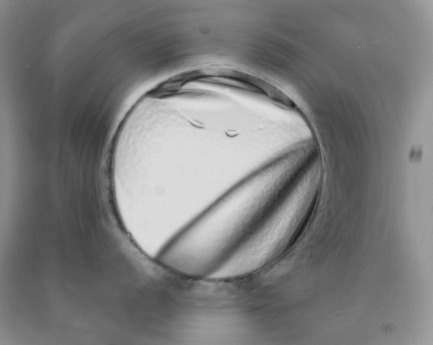 X0000091311056200709071110