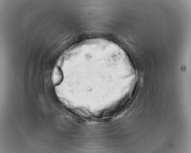 X0000091311059200709071109