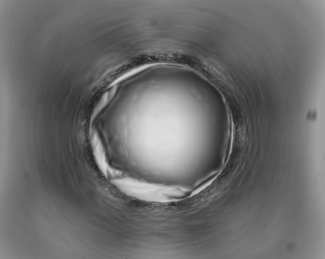 X0000091311060200709071109