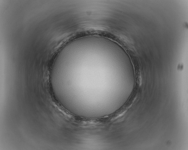 X0000091311061200709071109