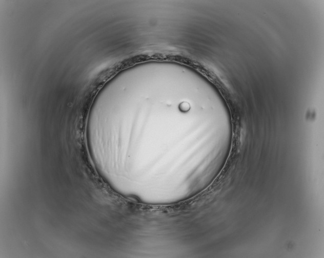 X0000091311063200709071109