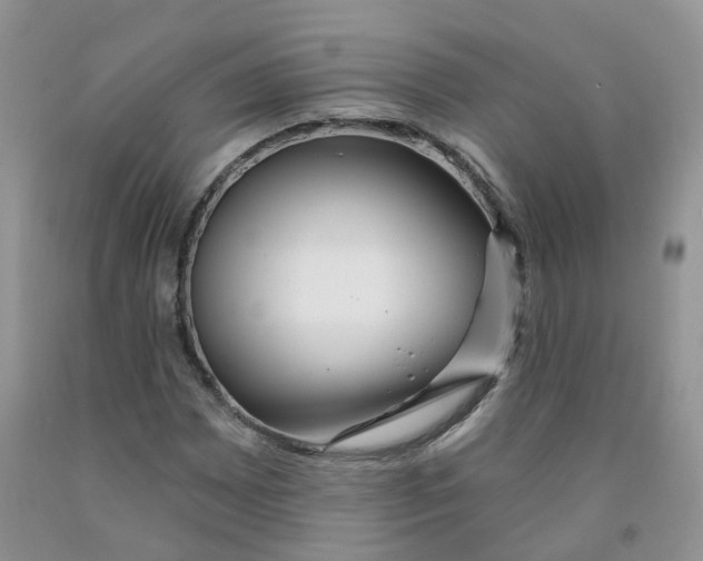 X0000091311065200709071109