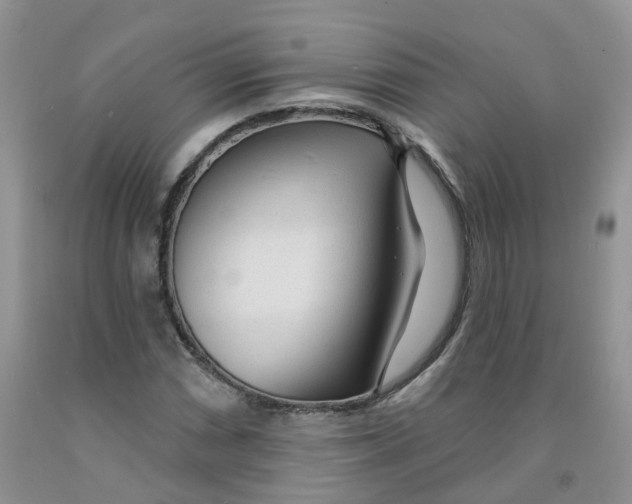 X0000091311066200709071109