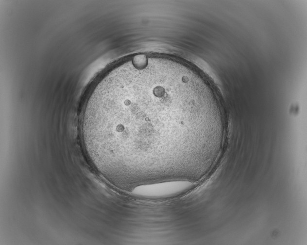 X0000091311067200709071109