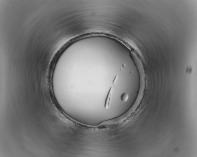 X0000091311068200709071109