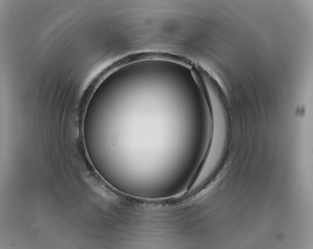 X0000091311069200709071109