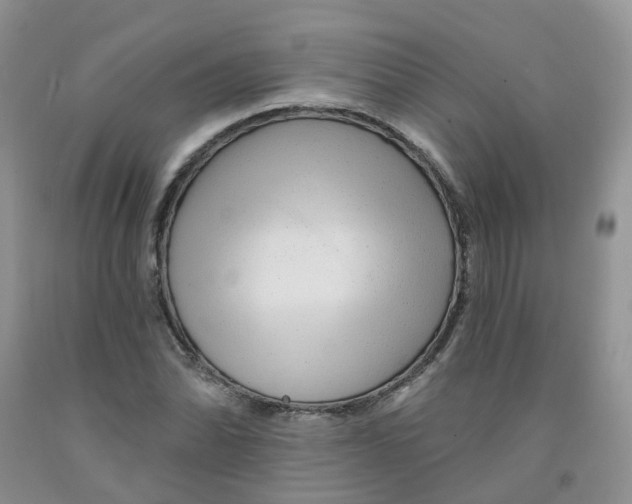 X0000091311070200709071109