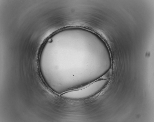 X0000091311071200709071109