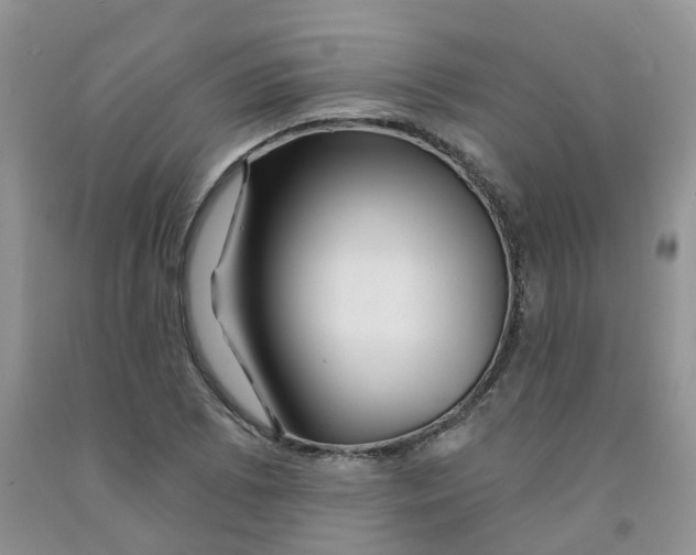 X0000091311073200709071109