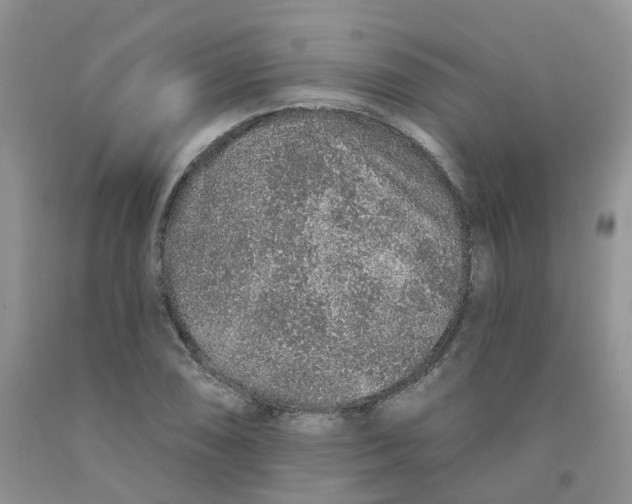 X0000091311074200709071109