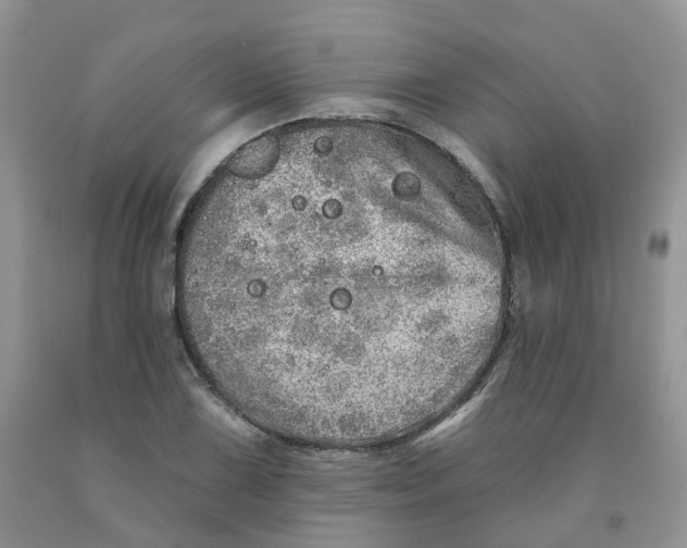 X0000091311075200709071109