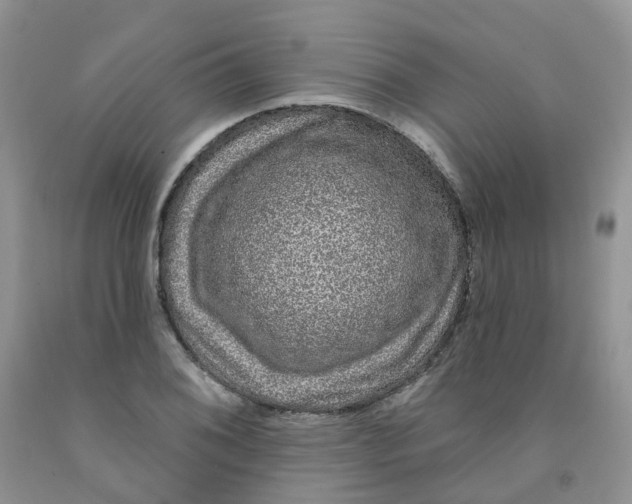 X0000091311076200709071109