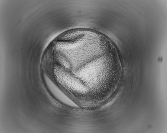 X0000091311077200709071109