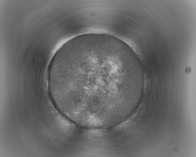 X0000091311078200709071109