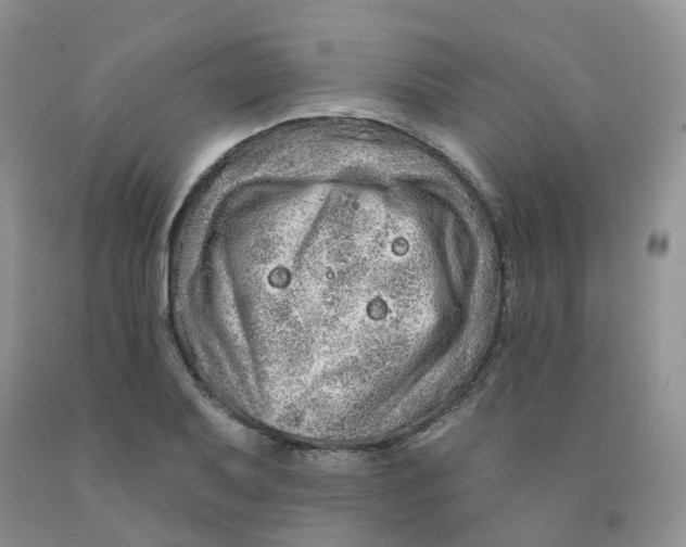 X0000091311079200709071109