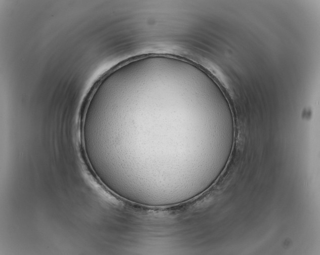 X0000091311080200709071109