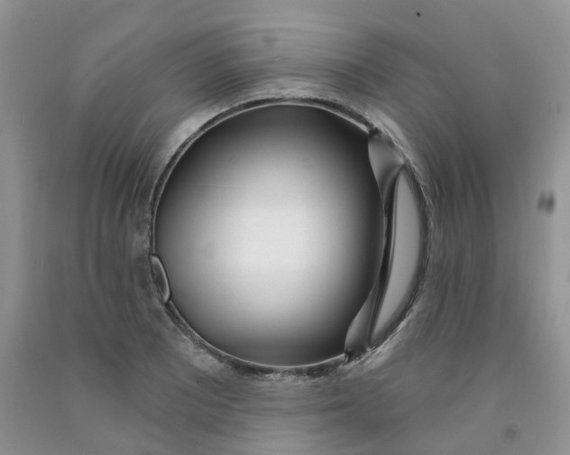 X0000091311081200709071109